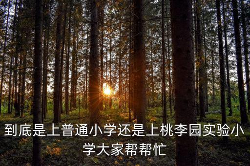桃李園實驗學校，大華的上大附屬實驗學校與嘉定桃李園實驗學校該怎樣選擇