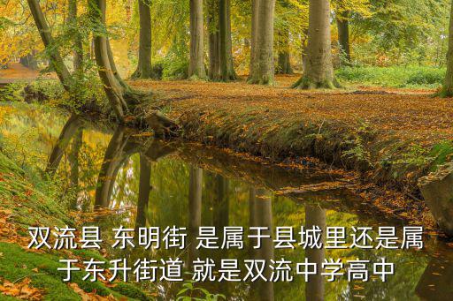 雙流縣 東明街 是屬于縣城里還是屬于東升街道 就是雙流中學高中