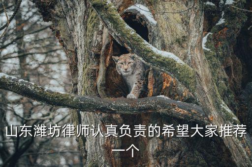 濰坊律師，濰坊律師