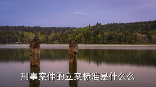 刑事案件的立案標準是什么么