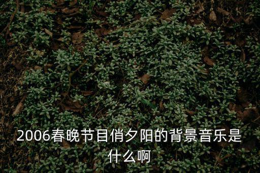 2006春晚節目俏夕陽的背景音樂是什么啊