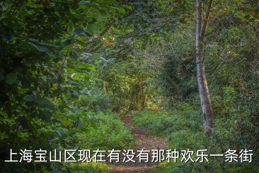 上海寶山區現在有沒有那種歡樂一條街