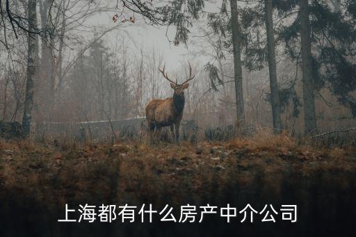上海都有什么房產(chǎn)中介公司