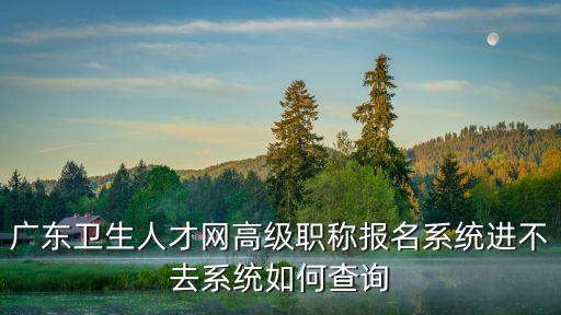 廣東衛生人才網高級職稱報名系統進不去系統如何查詢
