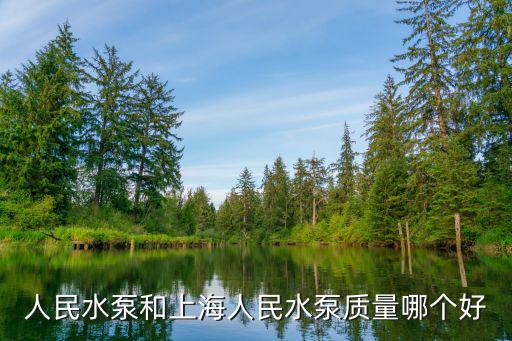 人民水泵和上海人民水泵質量哪個好
