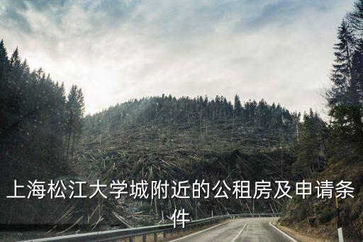 上海松江大學(xué)城附近的公租房及申請條件