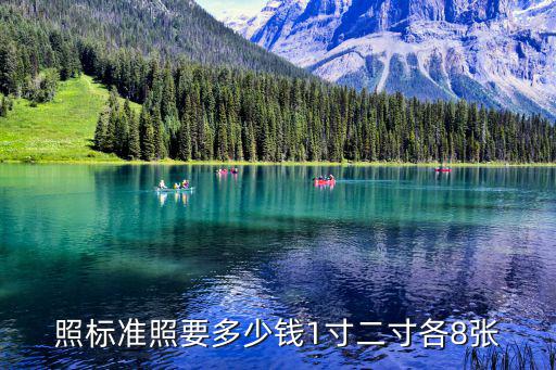 照標準照要多少錢1寸二寸各8張