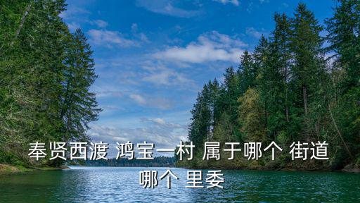 奉賢西渡 鴻寶一村 屬于哪個(gè) 街道 哪個(gè) 里委