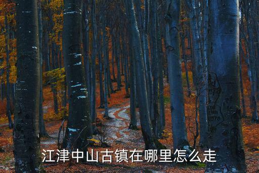 江津中山古鎮，江津中山古鎮有什么好玩的