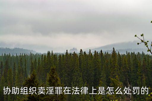 協助組織賣淫罪在法律上是怎么處罰的