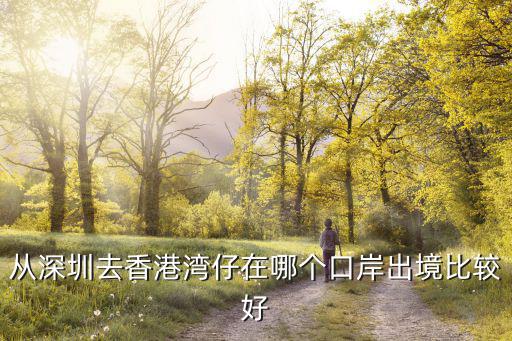 從深圳去香港灣仔在哪個口岸出境比較好