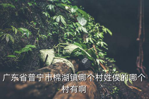 廣東省普寧市棉湖鎮(zhèn)哪個村姓侯的哪個村有啊