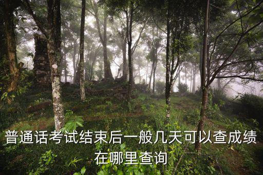 普通話考試結(jié)束后一般幾天可以查成績在哪里查詢