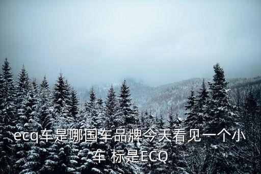 ecq車(chē)是哪國(guó)車(chē)品牌今天看見(jiàn)一個(gè)小車(chē) 標(biāo)是ECQ