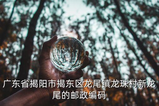 廣東省揭陽市揭東區龍尾鎮龍珠村新龍尾的郵政編碼