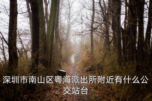 深圳市南山區粵海派出所附近有什么公交站臺
