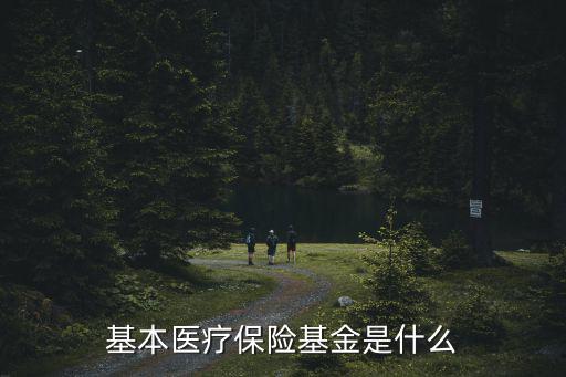 基本醫(yī)療保險基金是什么