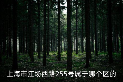 上海市江場西路255號屬于哪個區的