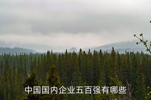 中國國內企業五百強有哪些