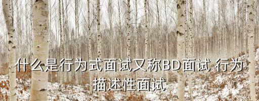 什么是行為式面試又稱BD面試 行為描述性面試
