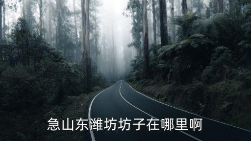 急山東濰坊坊子在哪里啊