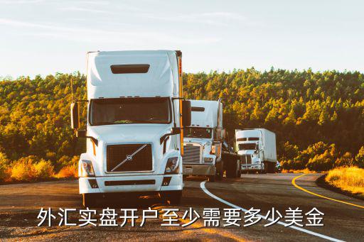 外匯實(shí)盤(pán)開(kāi)戶至少需要多少美金