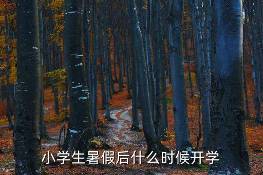 今年暑假什么時(shí)候開(kāi)學(xué)，小學(xué)生暑假后什么時(shí)候開(kāi)學(xué)