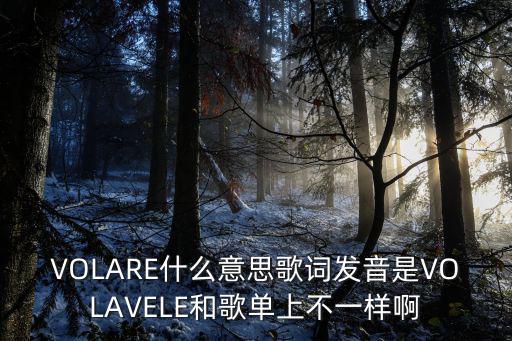 VOLARE什么意思歌詞發(fā)音是VOLAVELE和歌單上不一樣啊