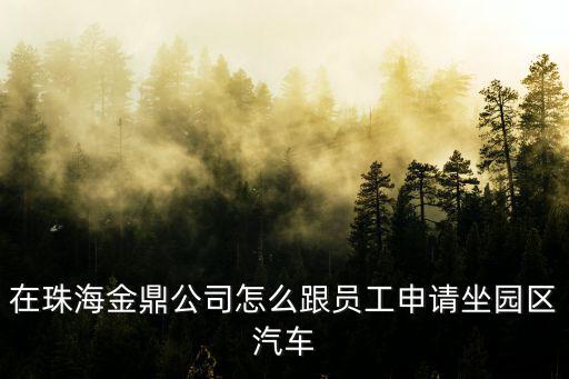 在珠海金鼎公司怎么跟員工申請(qǐng)坐園區(qū)汽車