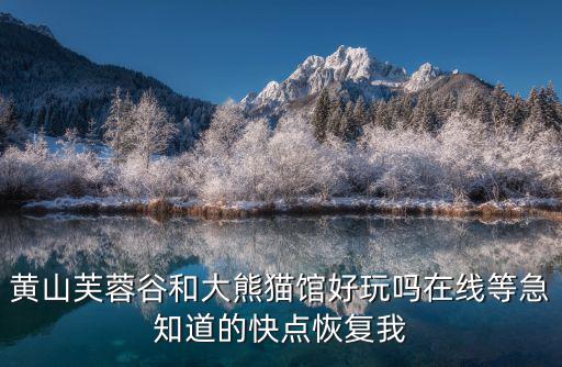 芙蓉谷，黃山的芙蓉谷怎么這么惡心啊啊啊為什么坑錢