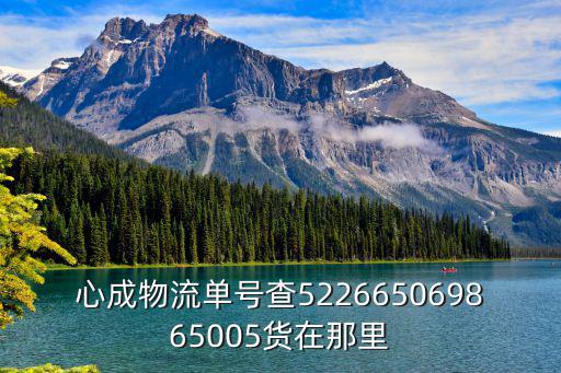 心成物流單號查522665069865005貨在那里
