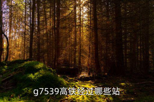 g7539高鐵經(jīng)過哪些站