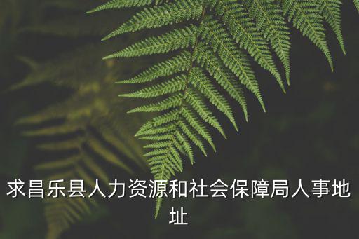 求昌樂縣人力資源和社會保障局人事地址