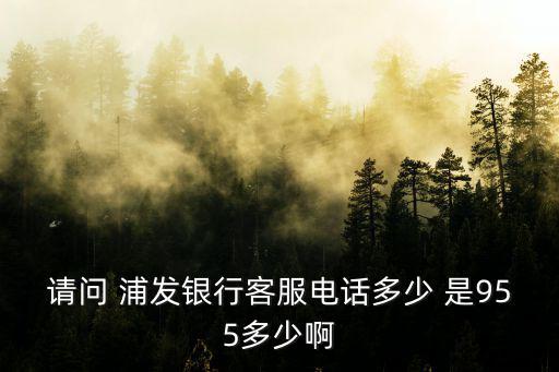 請問 浦發(fā)銀行客服電話多少 是955多少啊