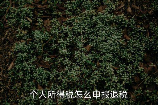 個人所得稅怎么申報退稅