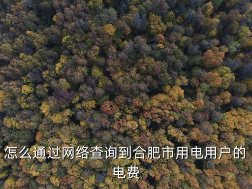 合肥電費(fèi)查詢，合肥市電費(fèi)查詢明細(xì)