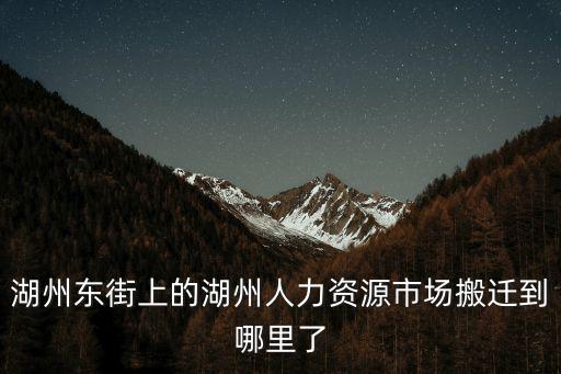 湖州東街上的湖州人力資源市場(chǎng)搬遷到哪里了