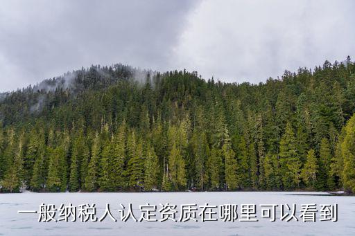 一般納稅人認定資質(zhì)在哪里可以看到
