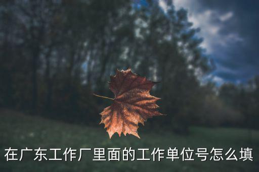 在廣東工作廠里面的工作單位號怎么填