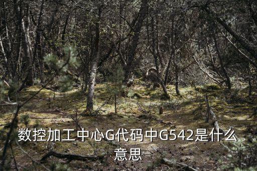 g7543，G二mg是什么意思告訴我