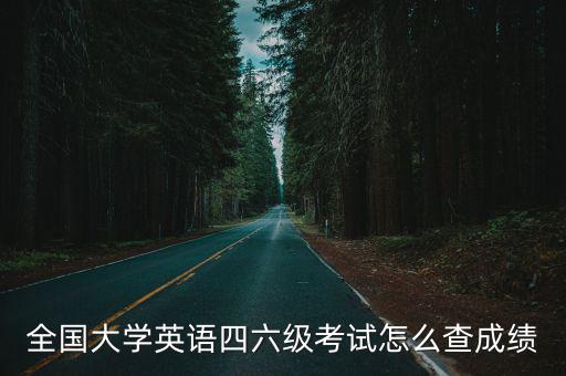 全國大學英語四六級考試怎么查成績