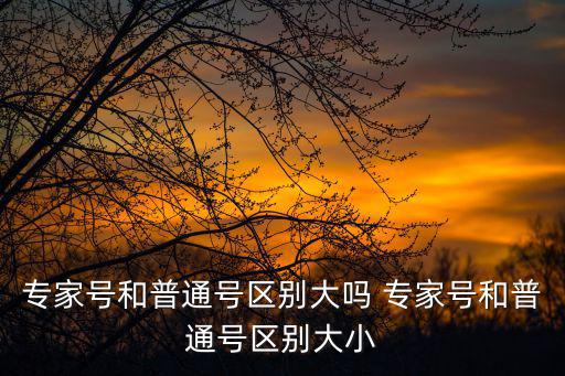 專家號，專家號是什么醫生為你看病