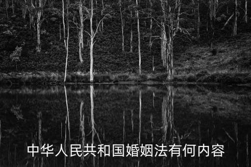 中華人民共和國婚姻法有何內容