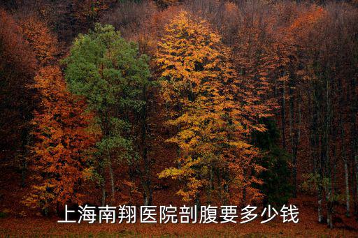 上海南翔醫(yī)院，上海南翔醫(yī)院剖腹要多少錢