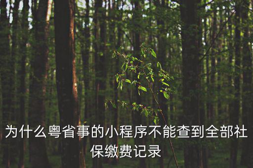 為什么粵省事的小程序不能查到全部社保繳費(fèi)記錄