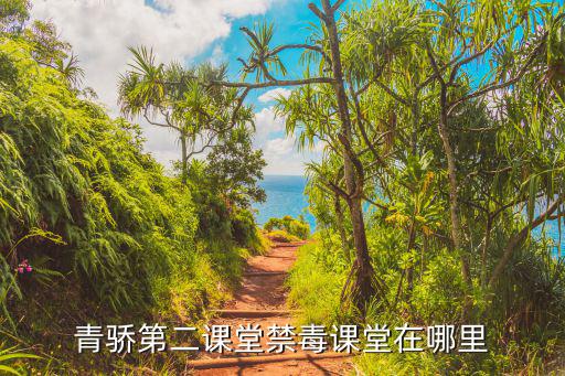 青驕第二課堂禁毒課堂在哪里