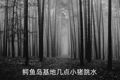 鱷魚島基地幾點小豬跳水
