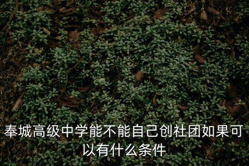 奉城高級中學能不能自己創(chuàng)社團如果可以有什么條件