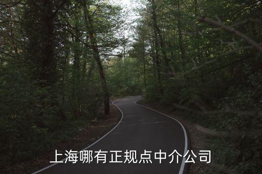 上海哪有正規(guī)點(diǎn)中介公司
