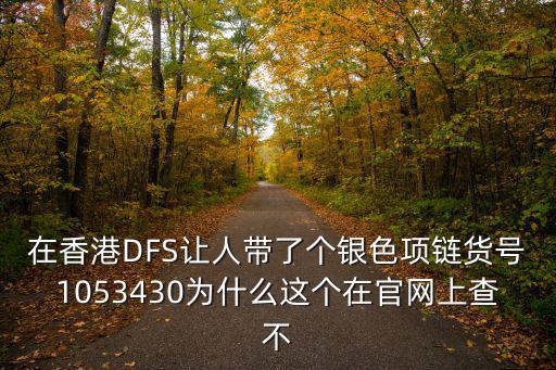 在香港DFS讓人帶了個(gè)銀色項(xiàng)鏈貨號(hào)1053430為什么這個(gè)在官網(wǎng)上查不